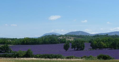 Tourisme Région PACA - Provence